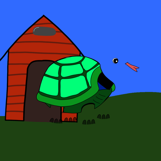 Turtle #5216