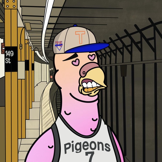 Pigeon #317