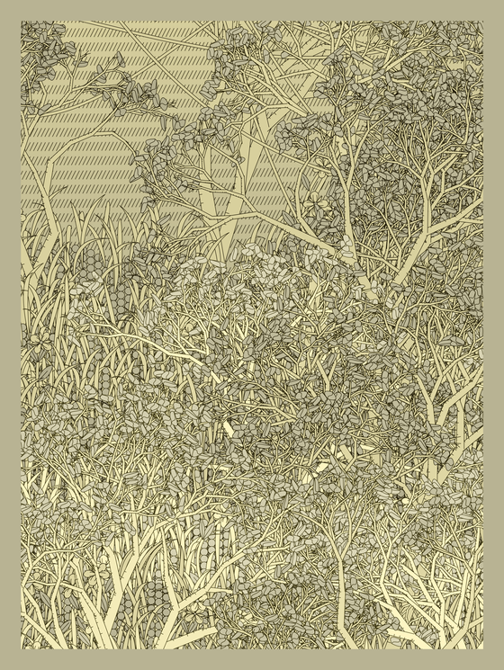 Entangled #37
