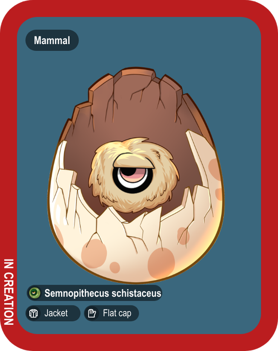 Semnopithecus Schistaceus #00302