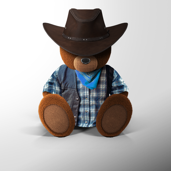 Blue Outlaw Teddy