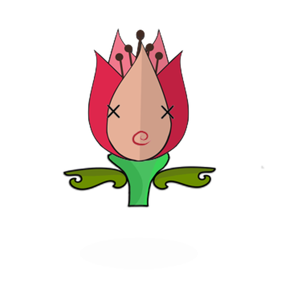 Tulipa ornatus