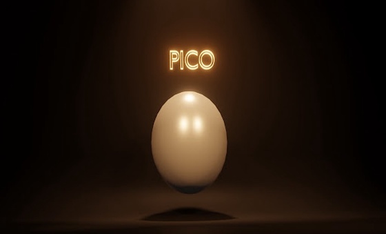 Pico Egg No45