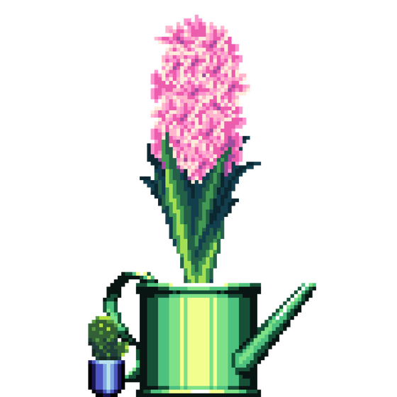 Pink Hyacinth in Watering Can pot with Mini Prickly Pear Cactus