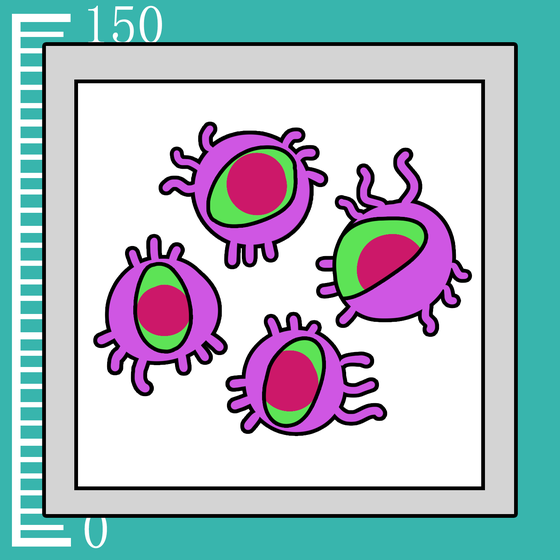305