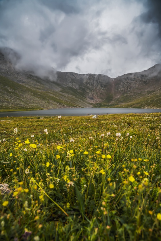 Moody Mt Evan's