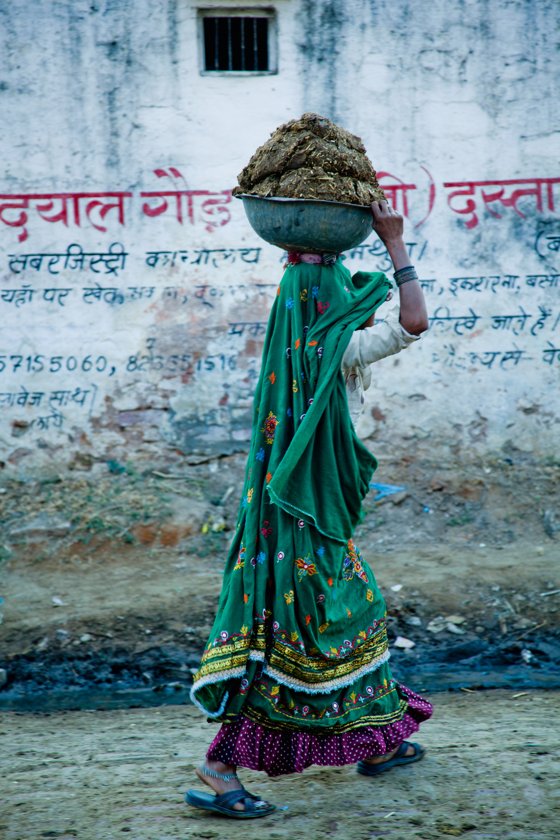 A woman carrying cow dung that she has collected for fuel #1/8