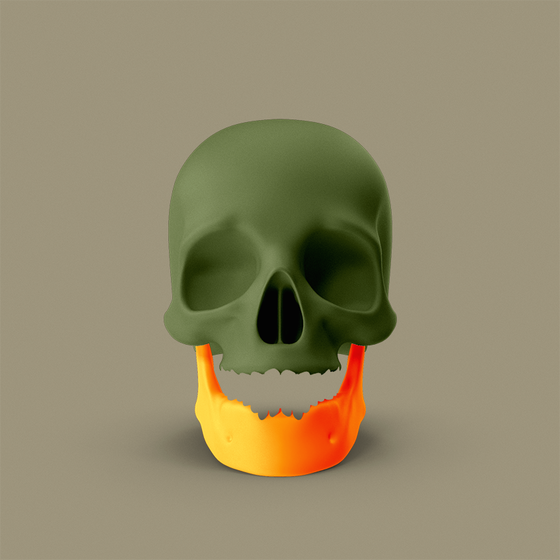 Skull #331