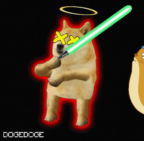 DOGEDOGE #613