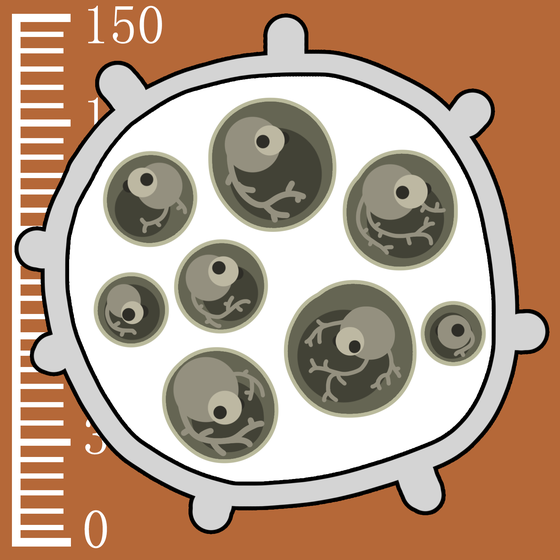281