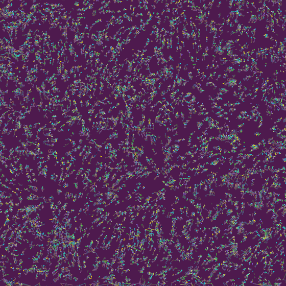 Distorted Partices #31