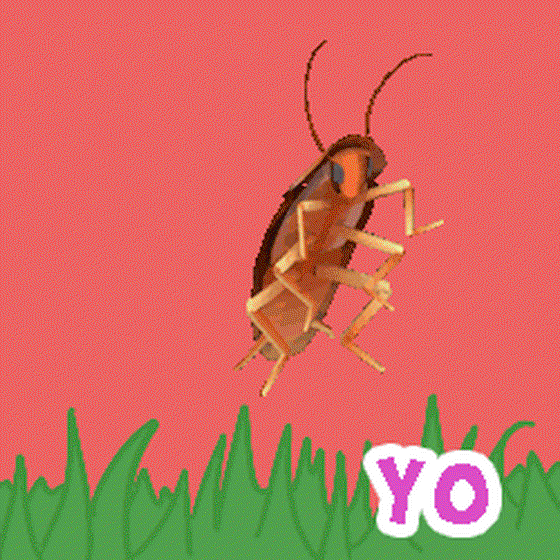 CockCockCockroach #544