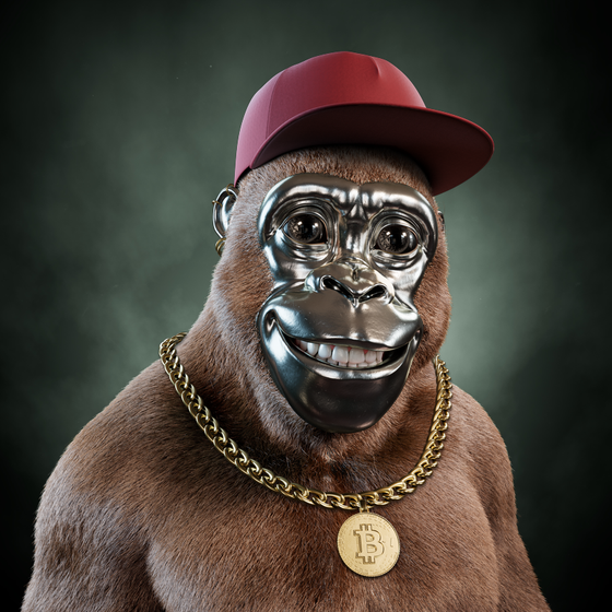 Alpha Kong #6695