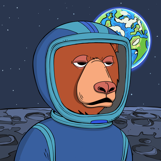 Okay Space Bear #1119