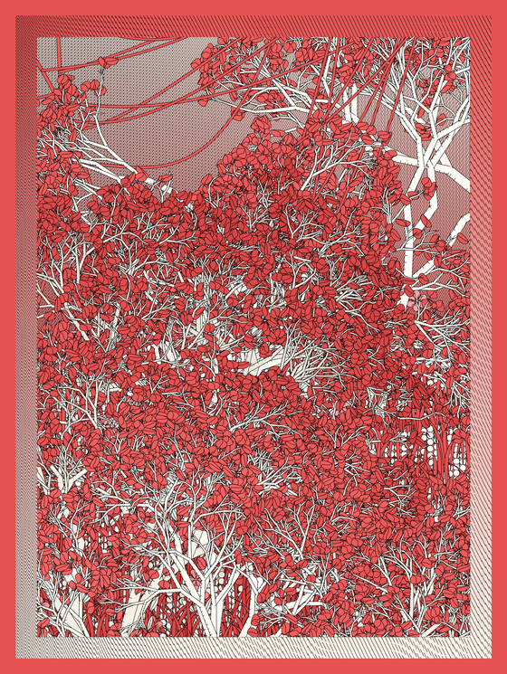 Entangled #74