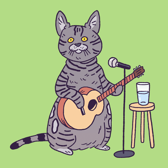 Open Mic Cat #1651