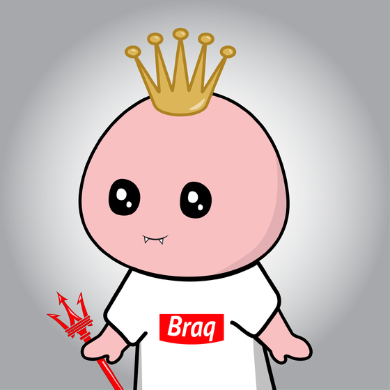 BRAQFRNDS #2373