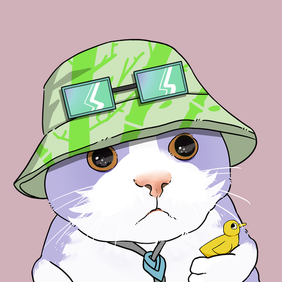 Puzzled cat #248