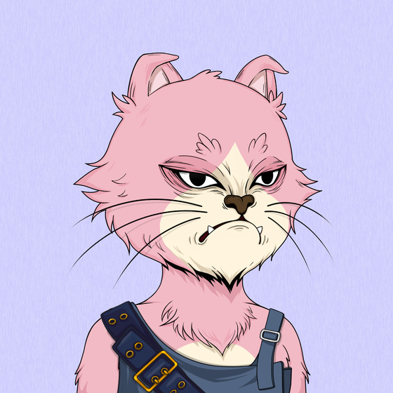 Angry Cat #7069