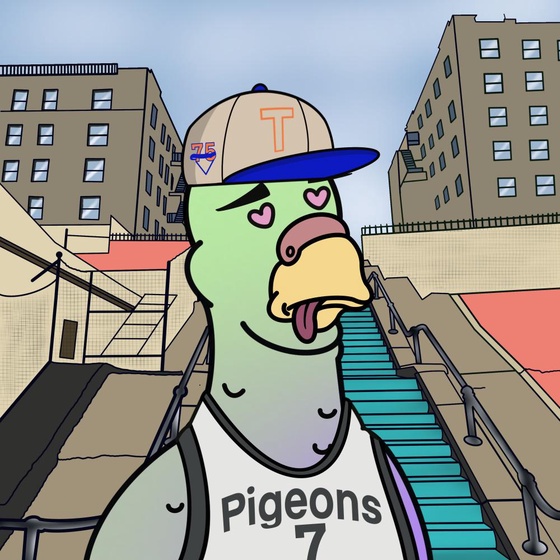 Pigeon #370