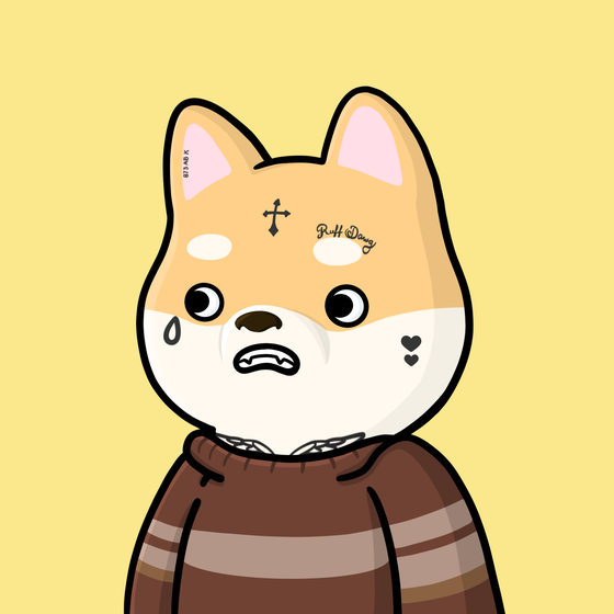 Shibe #4571