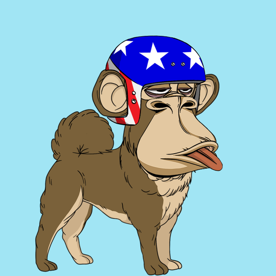 Kennel Ape #2098