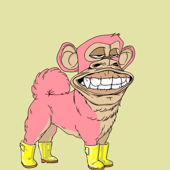 Kennel Ape #862