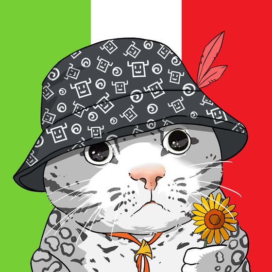 Puzzled cat #361