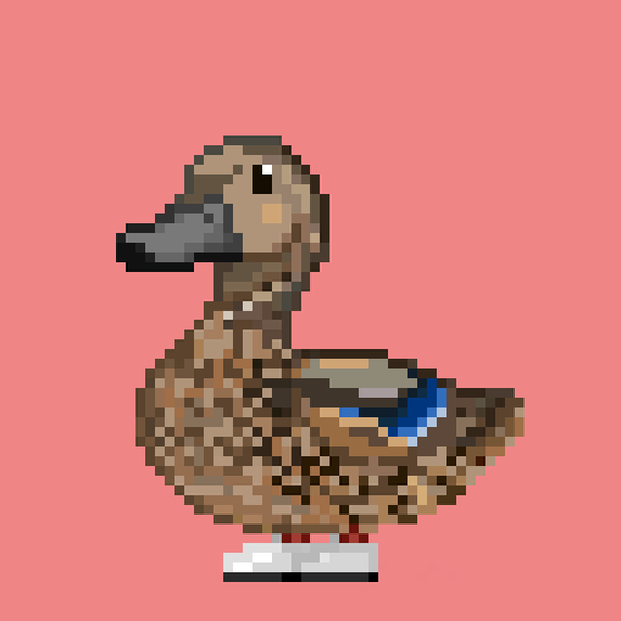 Mallard #4985