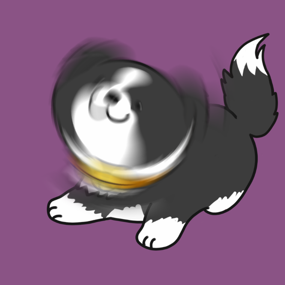 DogDrill#356