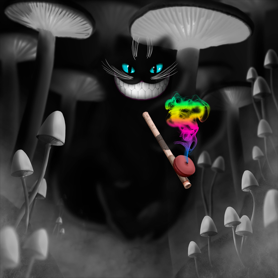 Opium Cheshire cat DNA#1236992