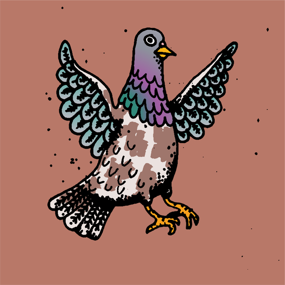 Hood Pigeon #1008