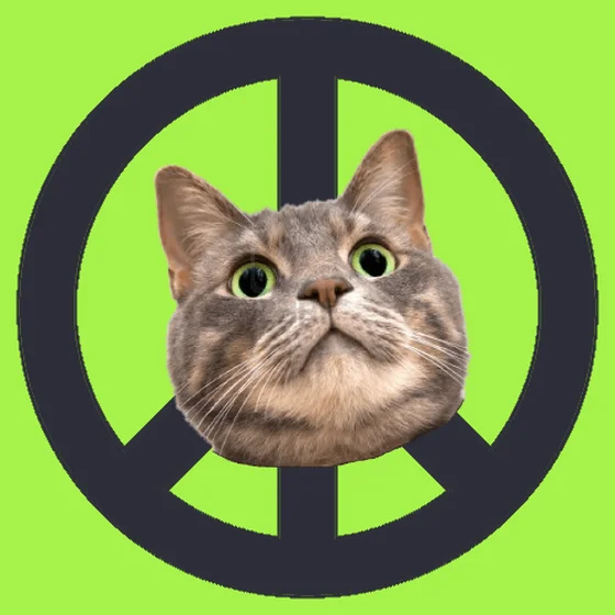 War, peace, and cat #473