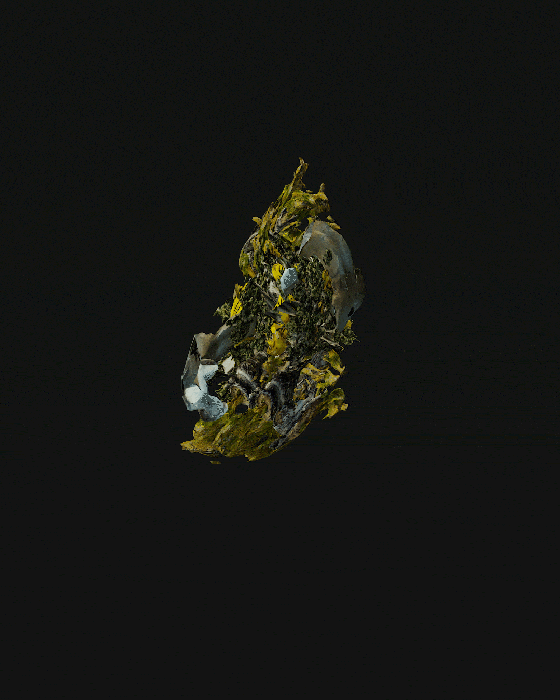 Scanpture2