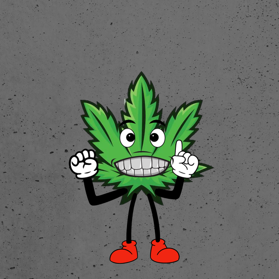 The Weedz #3778
