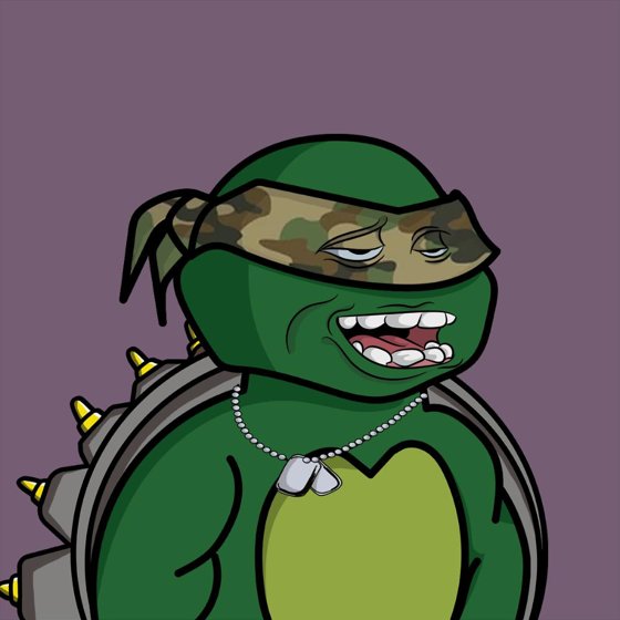 Degen Ninja Turtle #5430