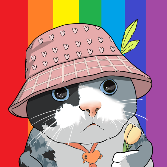 Puzzled cat #7739