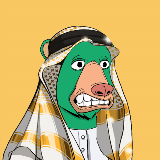 The Saudi Okay Bears #66