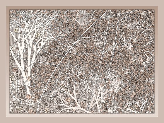 Entangled #225