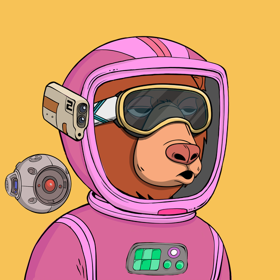 Okay Space Bear #3841