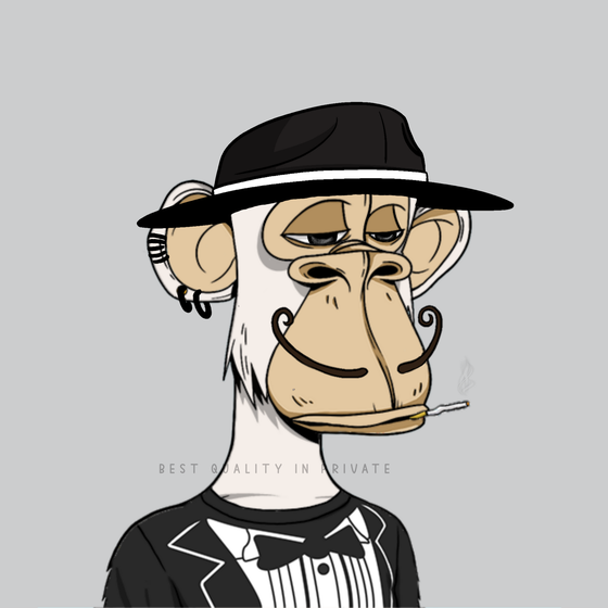 Fancy Bored Ape