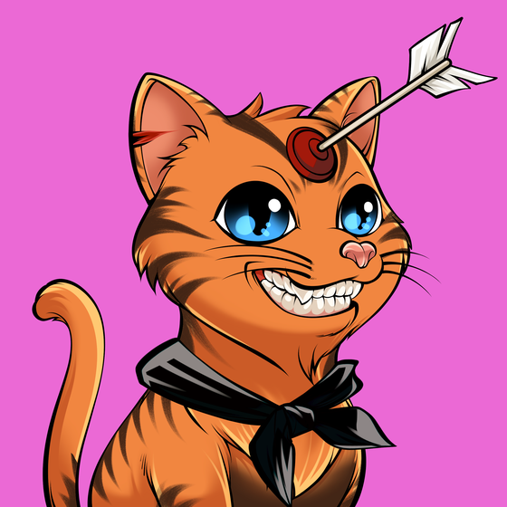 Cat #46