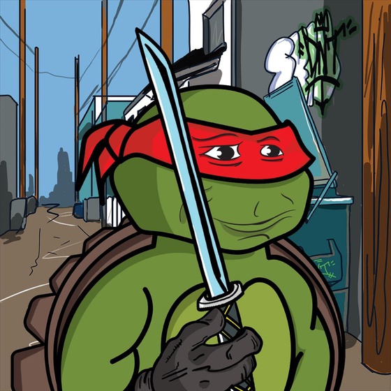 Degen Ninja Turtle #5321