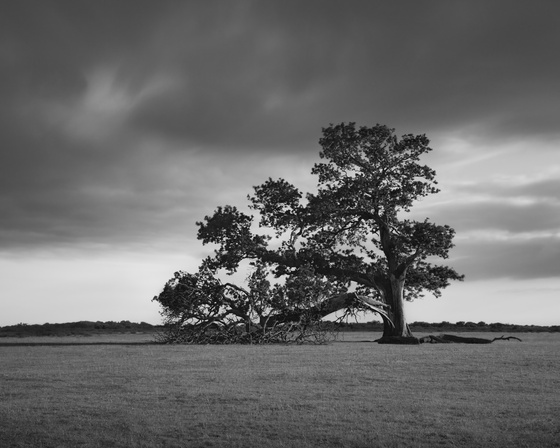 After The Storm