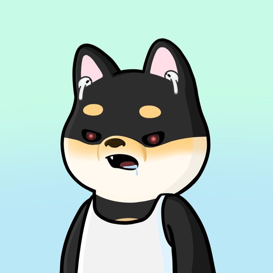 Shibe #282