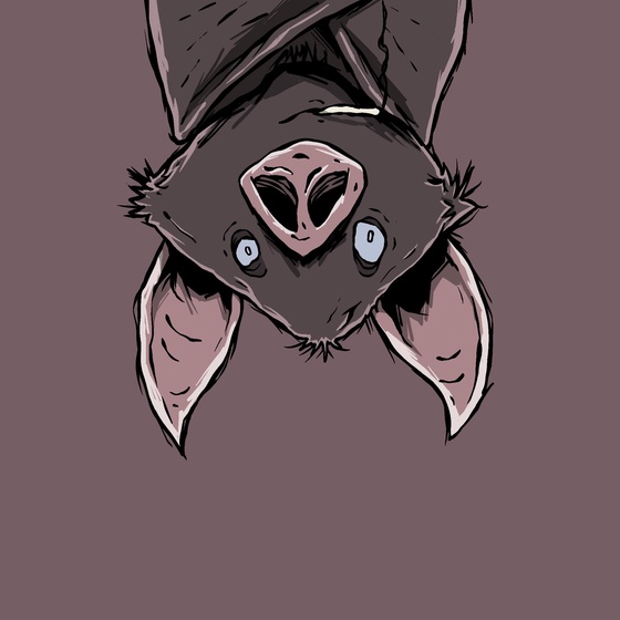 Moon Bats #7795