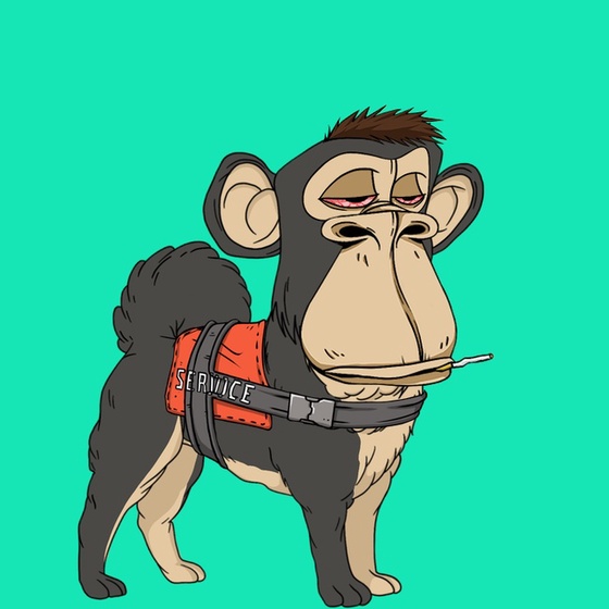 Kennel Ape #7436