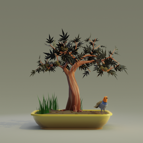 Bonsai #2885