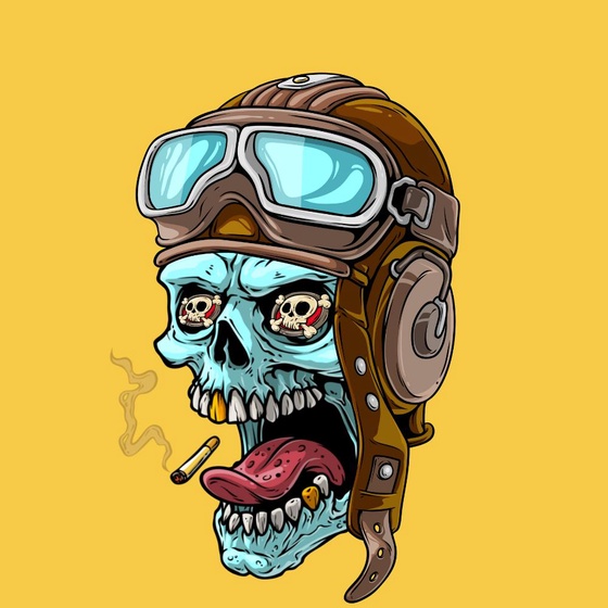 CrazySkull #7226