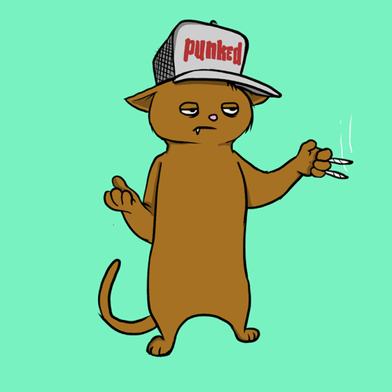 Blazed Cat #8547